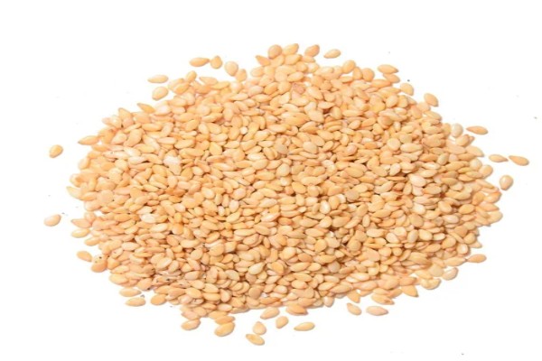 sesamum-indicum sesamum-indicum