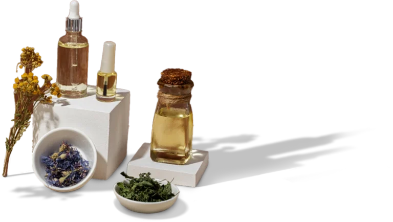 Effective ayurvedic formulations for every ailment and body needs at Shree Ayurvedic Multispeciality Hospital