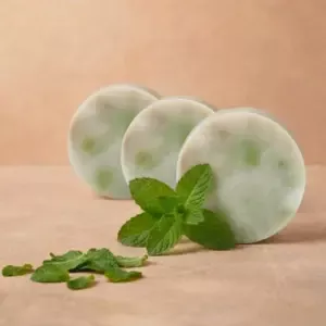 Soap Combo - Mint