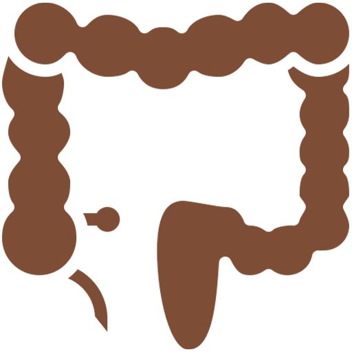Intestine with colon icon showing contaminated food and water introducing toxins into the body.