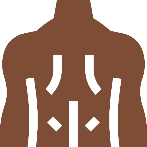 Body icon depicting weak core and back muscles contributing to lower back instability.