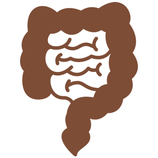 Large and small intestine icon symbolizing suppression of natural urges like passing stool or gas.”
