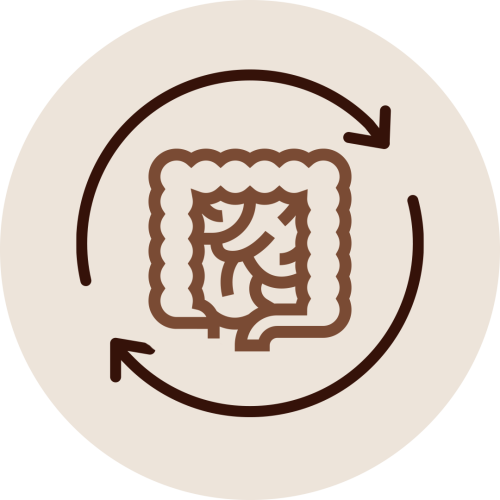 Intestine icon with circular arrows indicating smoother, less painful bowel movements with dilatation