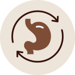 Improved-Digestion-&-Metabolism Stomach icon with arrows symbolizing improved digestion and metabolism through Ayurveda Panchakarma therapy.