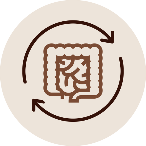 Intestine icon with circular arrows representing Kshara Sutra Therapy treating piles, fistulas, and fissures as a non-invasive alternative