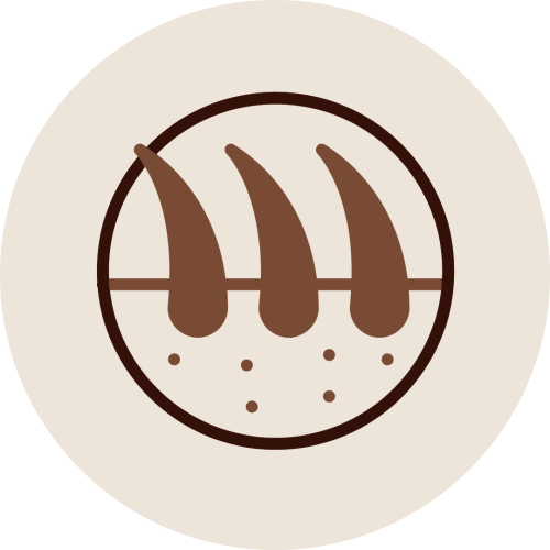 Scalp with hair follicles and dots icon representing Kesha Therapy improving scalp health by cleansing and revitalizing follicles