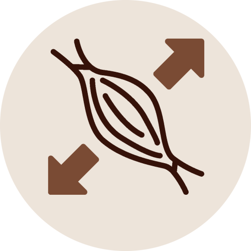 Muscle fiber icon with stretching arrows illustrating improved flexibility and joint mobility from Kukkutanda Swedam treatment