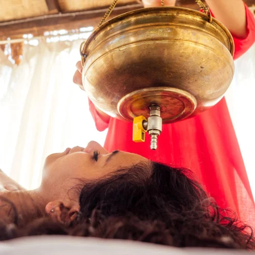 Ayurvedic Panchakarma Treatment - Shree Ayurvedic Multispecialty Hospital in Chennai