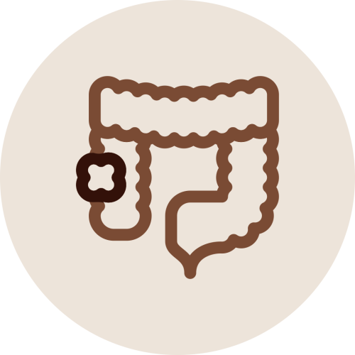 Intestine icon with a marked section representing Kshara Sutra Therapy preventing recurrence of anorectal problems