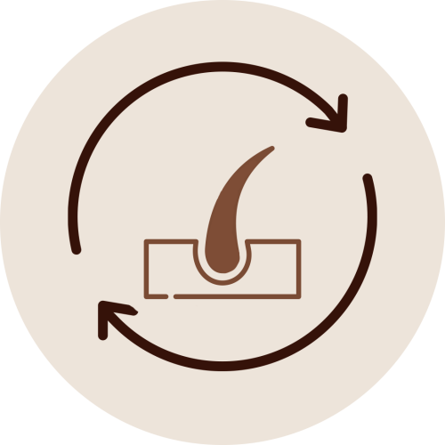 Hair follicle icon with circular arrows representing Kesha Therapy promoting hair growth by improving blood circulation to the scalp