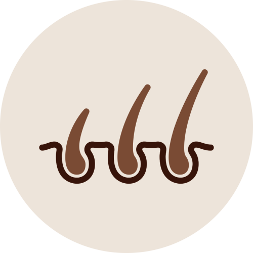 Three hair follicles icon representing Kesha Therapy strengthening hair roots to reduce premature hair fall and thinning