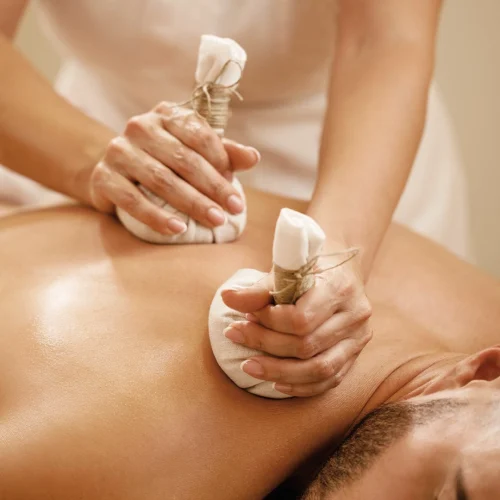 Mission of Shree Ayurvedic Multispecialty Hospital in Chennai