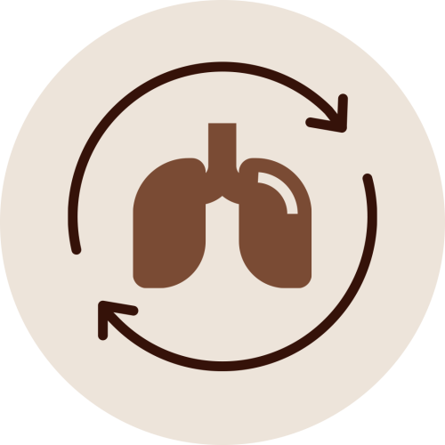Lungs icon with arrows representing improved respiratory health, sinus relief, and allergy reduction through Nasya Therapy
