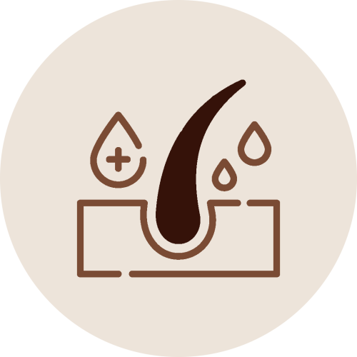 Hair follicle with nutrient drops icon representing Kesha Therapy restoring hair strength through deep nourishment and hydration