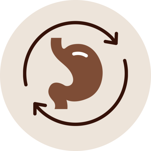 Stomach icon with circular arrows showing improved digestion, constipation relief, and reduced bloating through Ayurveda Vasti Therapy